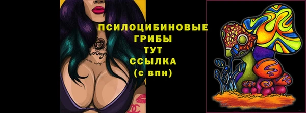 каннабис Белокуриха