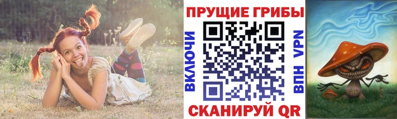 Галлюциногенные грибы прущие грибы  купить  сайты  ссылка на мегу   Светлогорск 